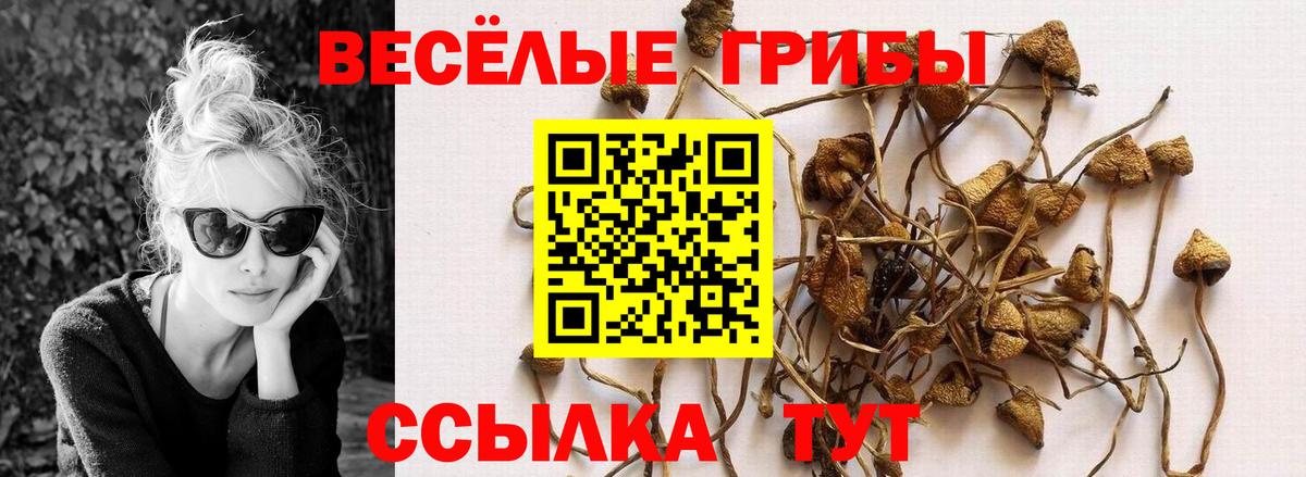 Псилоцибиновые грибы прущие грибы  Вход с VPN  Коломна 